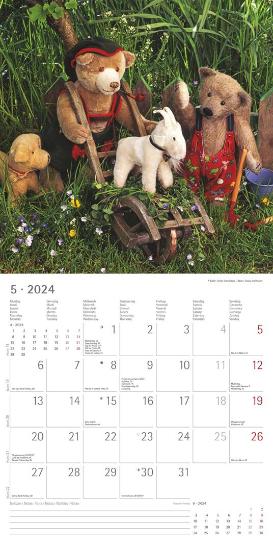 Alpha Edition - Calendario 2024 da muro Teddy, 12 mesi, 30x30 cm - 6