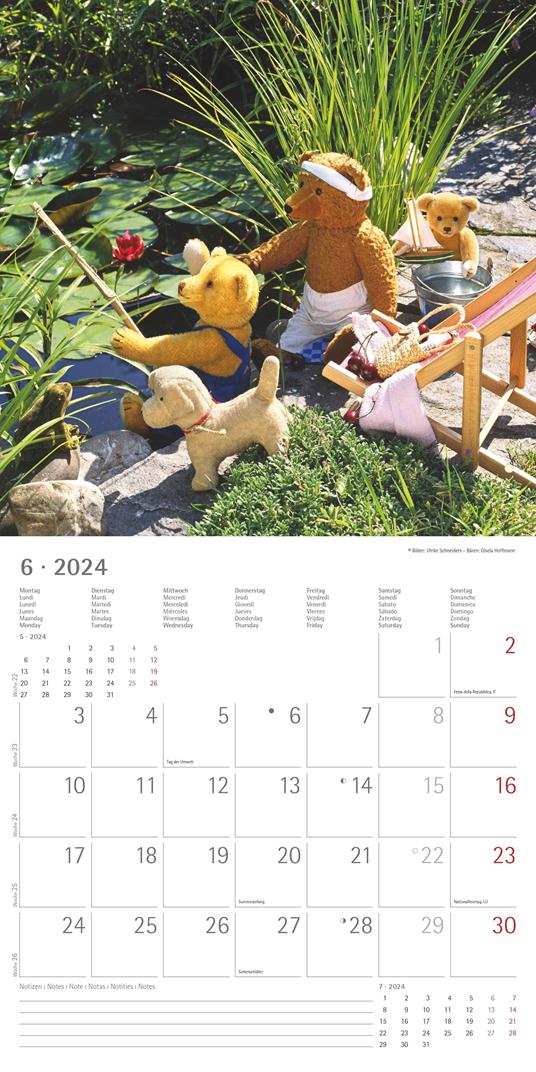Alpha Edition - Calendario 2024 da muro Teddy, 12 mesi, 30x30 cm - 7