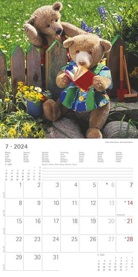 Alpha Edition - Calendario 2024 da muro Teddy, 12 mesi, 30x30 cm - 9
