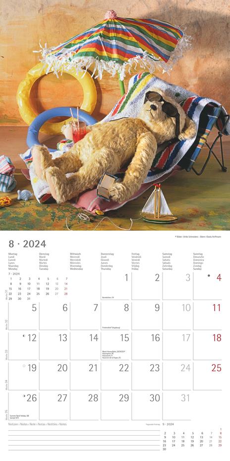 Alpha Edition - Calendario 2024 da muro Teddy, 12 mesi, 30x30 cm - 10