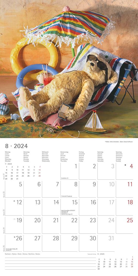 Alpha Edition - Calendario 2024 da muro Teddy, 12 mesi, 30x30 cm - 10