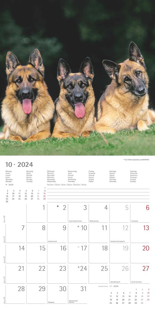 Alpha Edition - Calendario 2024 da muro Dogs, 12 mesi, 30x30 cm - 12