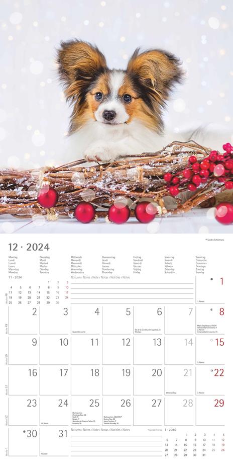 Alpha Edition - Calendario 2024 da muro Dogs, 12 mesi, 30x30 cm - 14