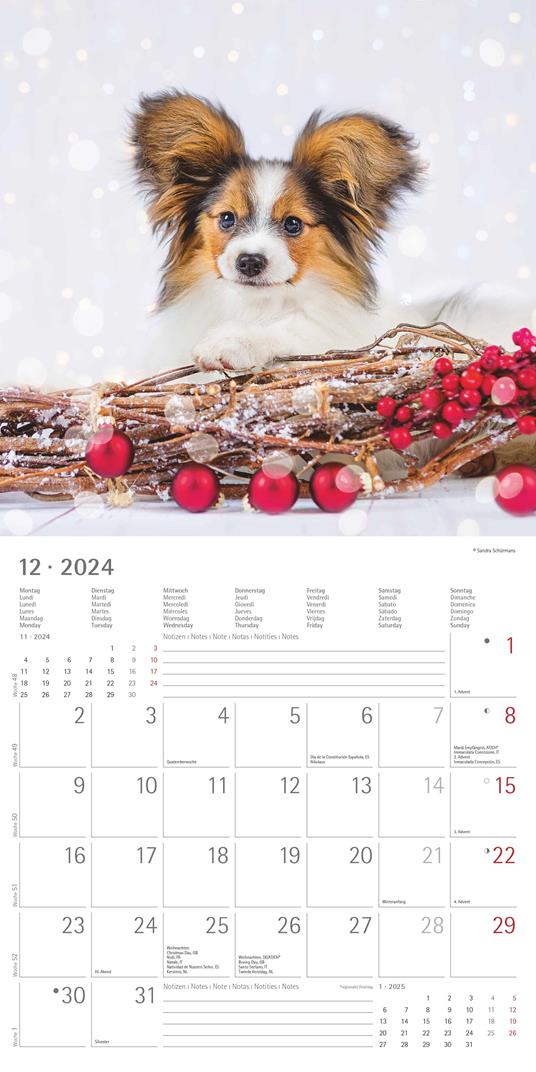 Alpha Edition - Calendario 2024 da muro Dogs, 12 mesi, 30x30 cm - 14