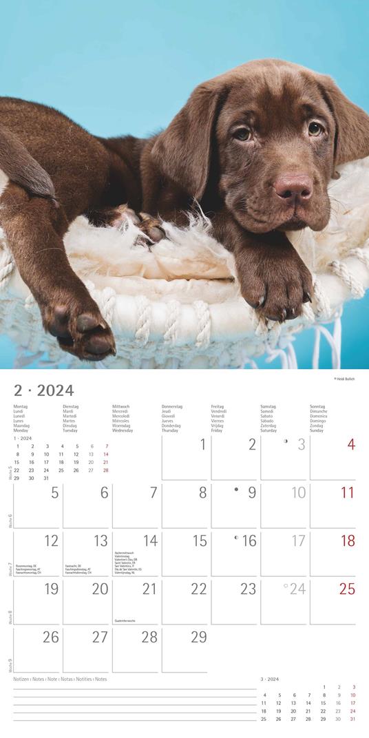 Alpha Edition - Calendario 2024 da muro Dogs, 12 mesi, 30x30 cm - 4