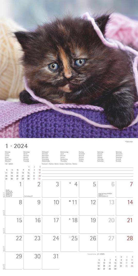 Alpha Edition - Calendario 2024 da muro Kittens, 12 mesi, 30x30 cm - 3