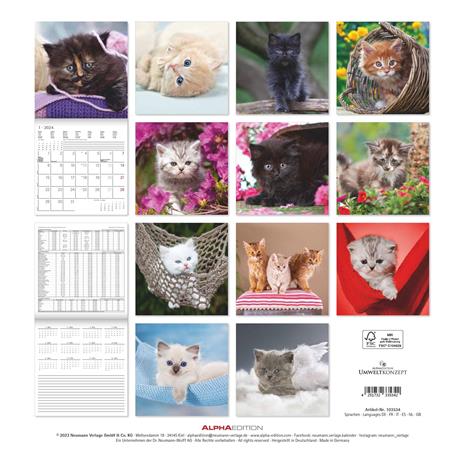 Alpha Edition - Calendario 2024 da muro Kittens, 12 mesi, 30x30 cm - 15