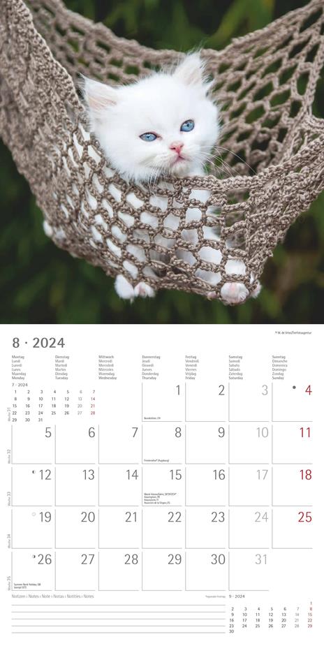 Alpha Edition - Calendario 2024 da muro Kittens, 12 mesi, 30x30 cm - 10