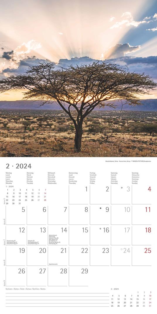 Alpha Edition - Calendario 2024 da muro Emotions, 12 mesi, 30x30 cm - 4