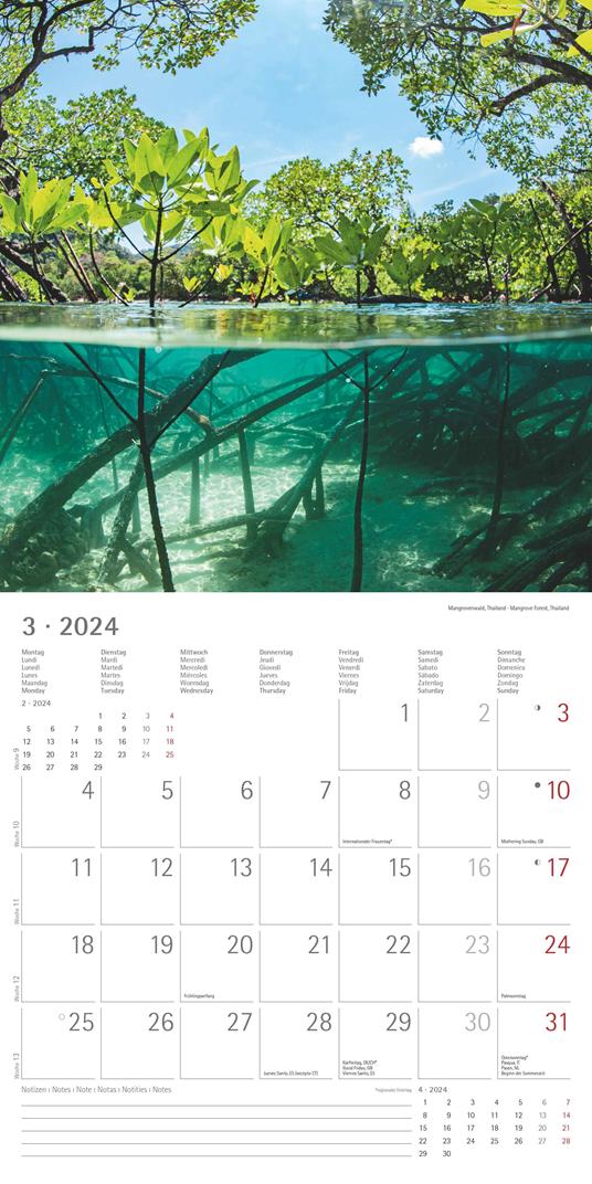 Alpha Edition - Calendario 2024 da muro Emotions, 12 mesi, 30x30 cm - 5