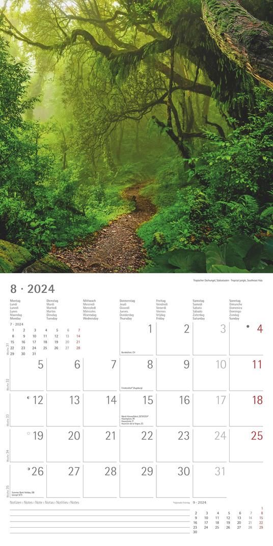 Alpha Edition - Calendario 2024 da muro Emotions, 12 mesi, 30x30 cm - 10