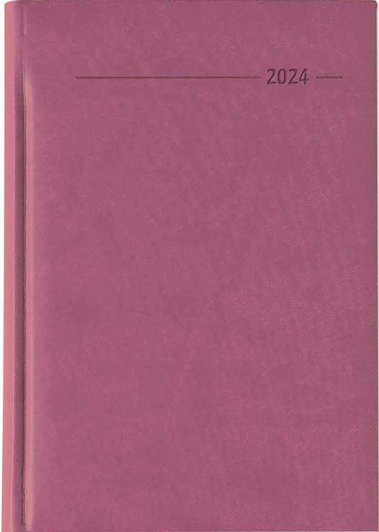 Alpha Edition - Agenda Giornaliera Monocromo 2024, Formato Grande 15x21 cm,  Similpelle Rosa, 352 pagine