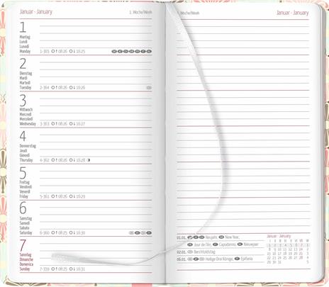 Alpha Edition - Agenda Settimanale Ladytimer Slim 2024, 9x15,6 cm, Pastel Harmony, 128 pagine - 2