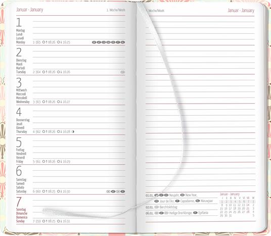 Alpha Edition - Agenda Settimanale Ladytimer Slim 2024, 9x15,6 cm, Pastel Harmony, 128 pagine - 2