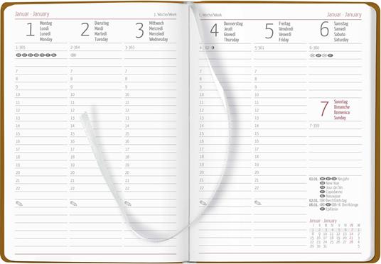Alpha Edition - Agenda Settimanale Ladytimer Deluxe 2024, 10,7x15,2 cm, Honey, 128 pagine - 2