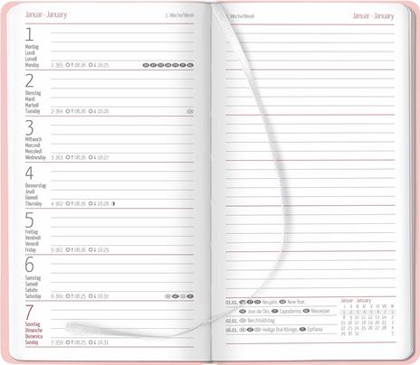Alpha Edition - Agenda Settimanale Ladytimer Slim Deluxe 2024, 9x15,6 cm, Salmon, 128 pagine - 2
