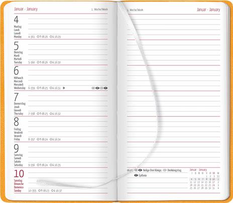 Alpha Edition - Agenda Settimanale Ladytimer Slim Deluxe 2024, 9x15,6 cm, Homey, 128 pagine - 2