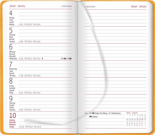 Alpha Edition - Agenda Settimanale Ladytimer Slim Deluxe 2024, 9x15,6 cm, Homey, 128 pagine - 2