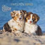 Alpha Edition - Calendario 2025 da muro Puppies, 12 mesi, 30x30 cm