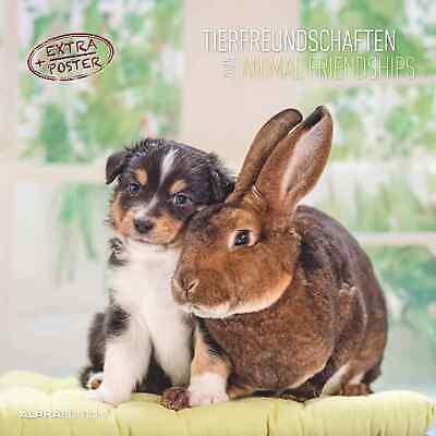 Alpha Edition - Calendario 2025 da muro Animal Frienship, 12 mesi, 30x30 cm