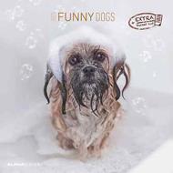 Alpha Edition - Calendario 2025 da muro Funny Dogs, 12 mesi, 30x30 cm