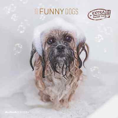 Alpha Edition - Calendario 2025 da muro Funny Dogs, 12 mesi, 30x30 cm