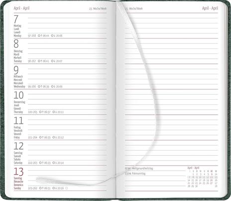 Alpha Edition - Agenda Settimanale Nature Line 2025, 9x15,6 cm , Pine, 128 pagine - 2