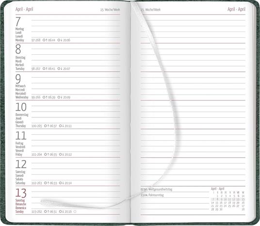 Alpha Edition - Agenda Settimanale Nature Line 2025, 9x15,6 cm , Pine, 128 pagine - 2