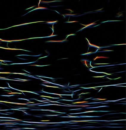 Biokinetics - CD Audio di Porter Ricks