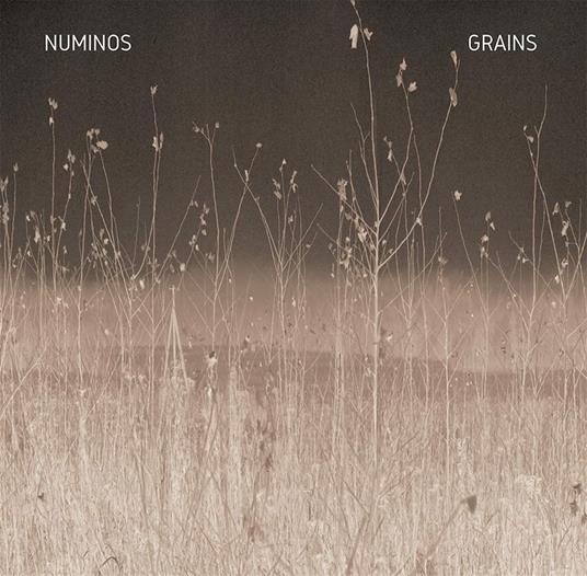 Grains - Vinile LP di Numinos
