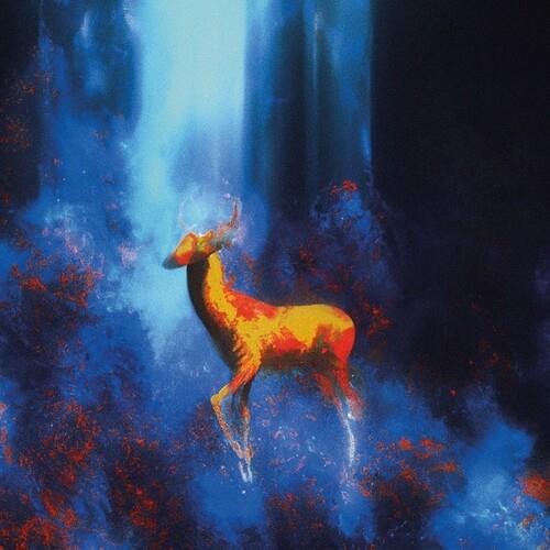 Dorcas Ep (Marbled Vinyl) - Vinile LP di Angel Code
