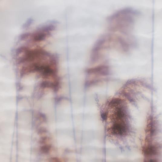 Dream Sequence Ep - Vinile LP di Ovid