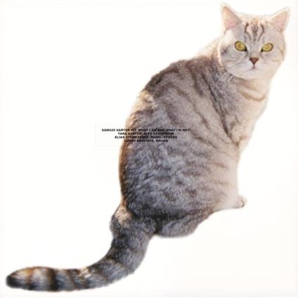 What I Am And What I'm Not - Vinile LP di Sarter Kit