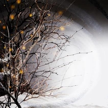 Winterlight - Vinile LP di Winterlight