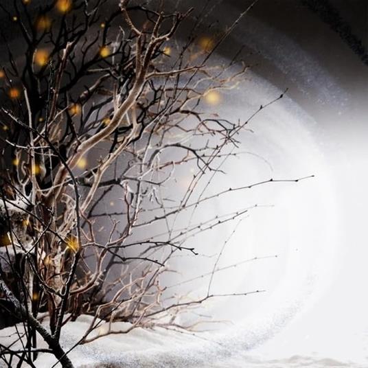 Winterlight - Vinile LP di Winterlight