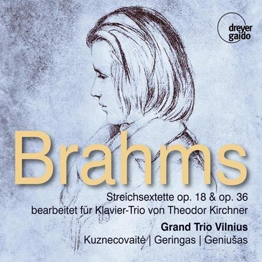 String Sextets Arr. For Piano Trio - CD Audio di Johannes Brahms