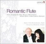 Romantic Flute. Sonata Fantasia Op.17 - CD Audio di Max Meyer-Olbersleben