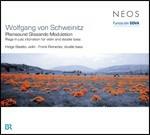 Plainsound Glissando Modulation - CD Audio di Wolfgang Von Schweinitz,Helge Slaatto,Frank Reinecke