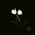 Innocent Ep