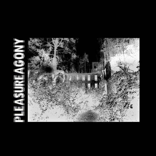 Pleasureagony - CD Audio di Pleasureagony