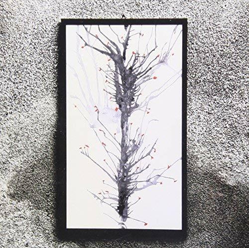 I Ate This Plant, and... - CD Audio di Ivy Garden of the Desert