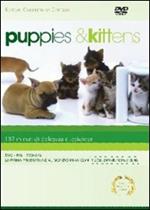 Puppies & Kittens