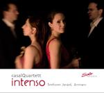 Intenso