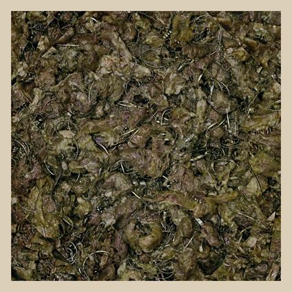 Future Cancer - Vinile LP di Piss Vortex