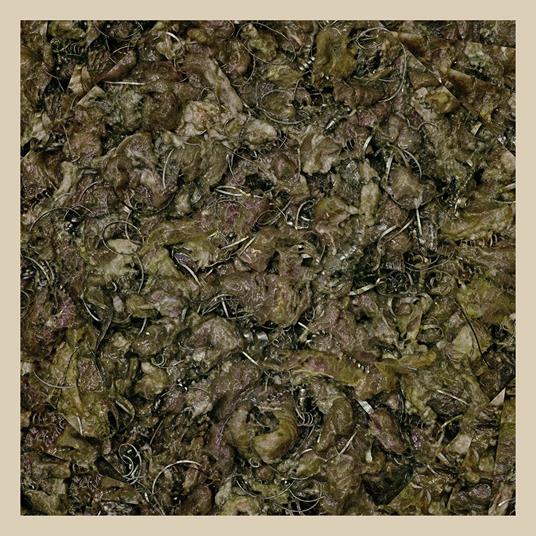 Future Cancer - Vinile LP di Piss Vortex