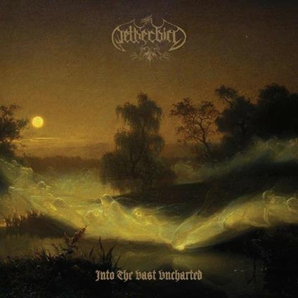 Into the Vast Uncharted - Vinile LP di Netherbird
