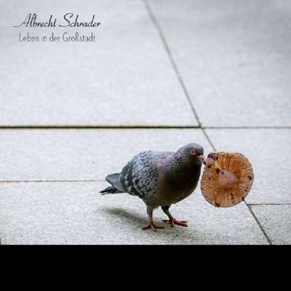 Leben in der... (Limited Edition) - Vinile LP di Albrecht Schrader