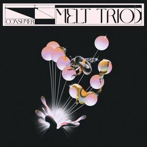 Consumer - CD Audio di Melt Trio