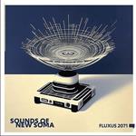Fluxus 2071