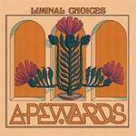 Liminal Choices